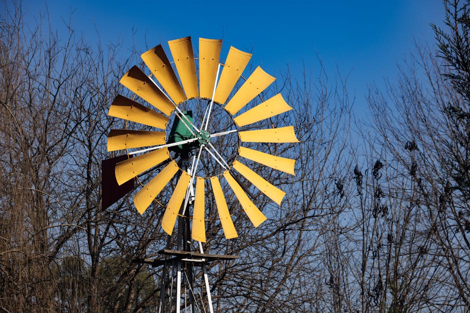 automation implementation roadmap