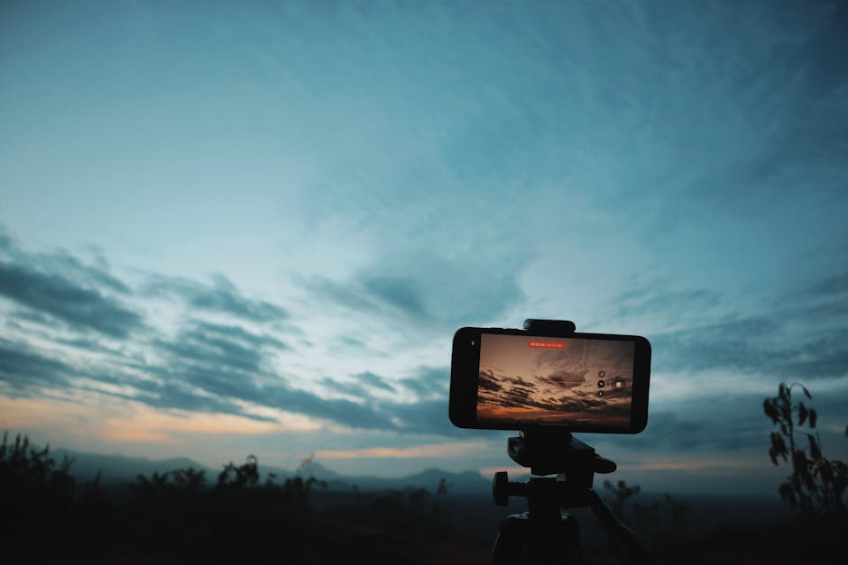 Evolving Search Landscape